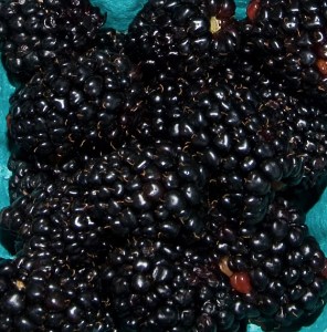 Blackberry Kiowa